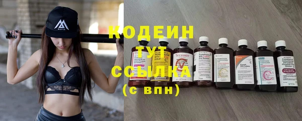 стаф Дмитров