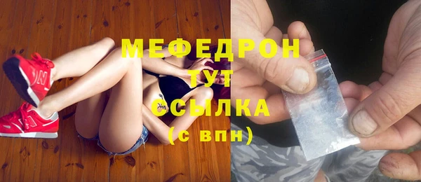 стаф Дмитров