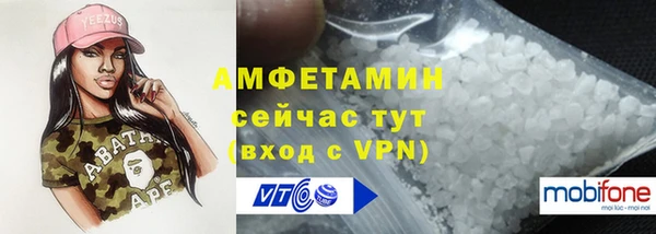 стаф Дмитров