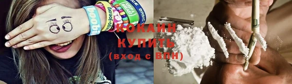 дурь Дмитровск