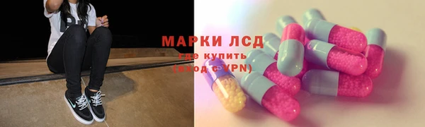стаф Дмитров