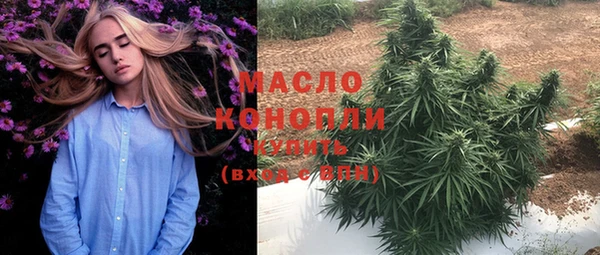 стаф Дмитров