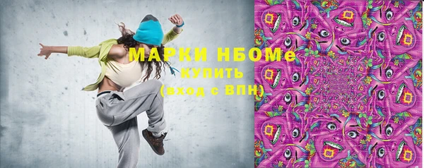 стаф Дмитров