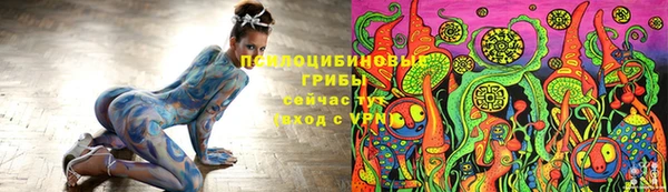 mdpv Дмитриев