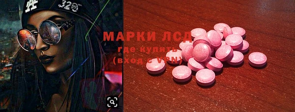 стаф Дмитров