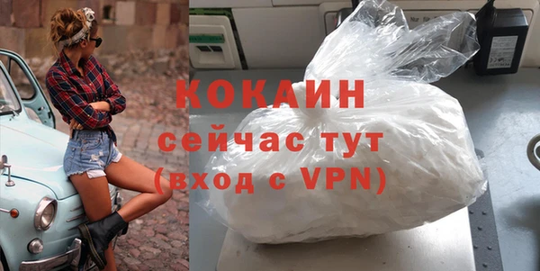стаф Дмитров