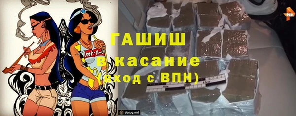 стаф Дмитров