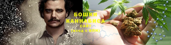 дурь Дмитровск