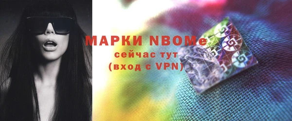 стаф Дмитров