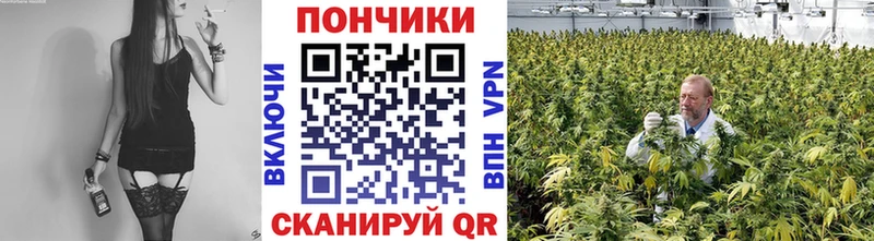 Купить закладки  Кяхта  Бошки марихуана план 